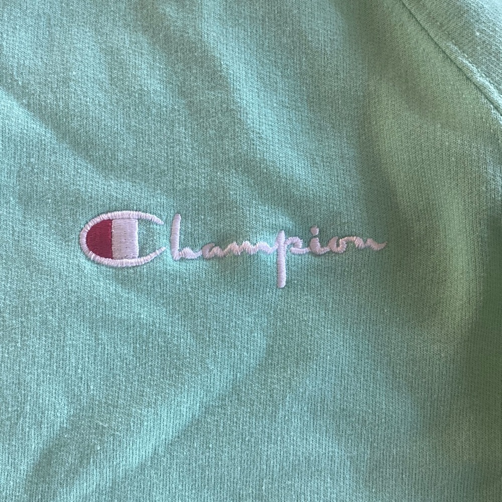 Champion sweatshirt hoodie